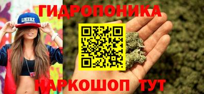 a pvp Моздок