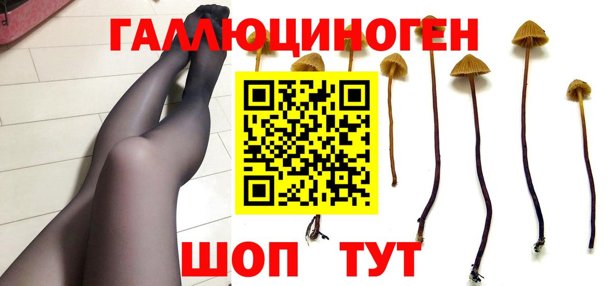 Шелехов  Псилоцибиновые грибы Psilocybe  Вход с VPN 